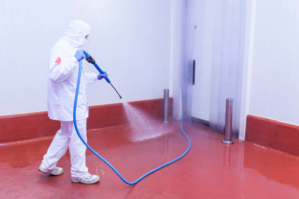 Best Vinyl Siding Pressure Washing in Mokuleia, HI